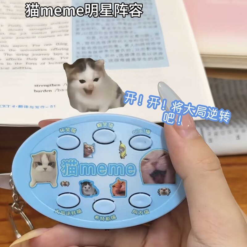Abstract Cat Meme Voice Pack Keychain Sound Pendant Stress Relief Toy Keychain Gift for Friends Popular Item