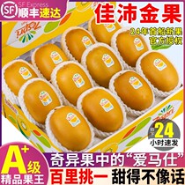 SF gift box 30 pieces Zespri kiwi fruit fresh kiwi imported from New Zealand seasonal fruit golden heart