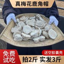 Northeast Changbai Mountain Deer Antler Hat Powder 250g Plum Blossom Antler Hat Deer Tray Powder Antlers Drop-off Tray