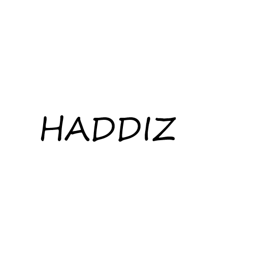 HADDIZ旗舰店