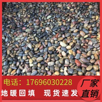 Guizhou boutique Yangtze River pea stone natural pebbles filter material fish tank flower pot water treatment floor heating backfill