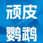 顽皮鹦鹉电玩