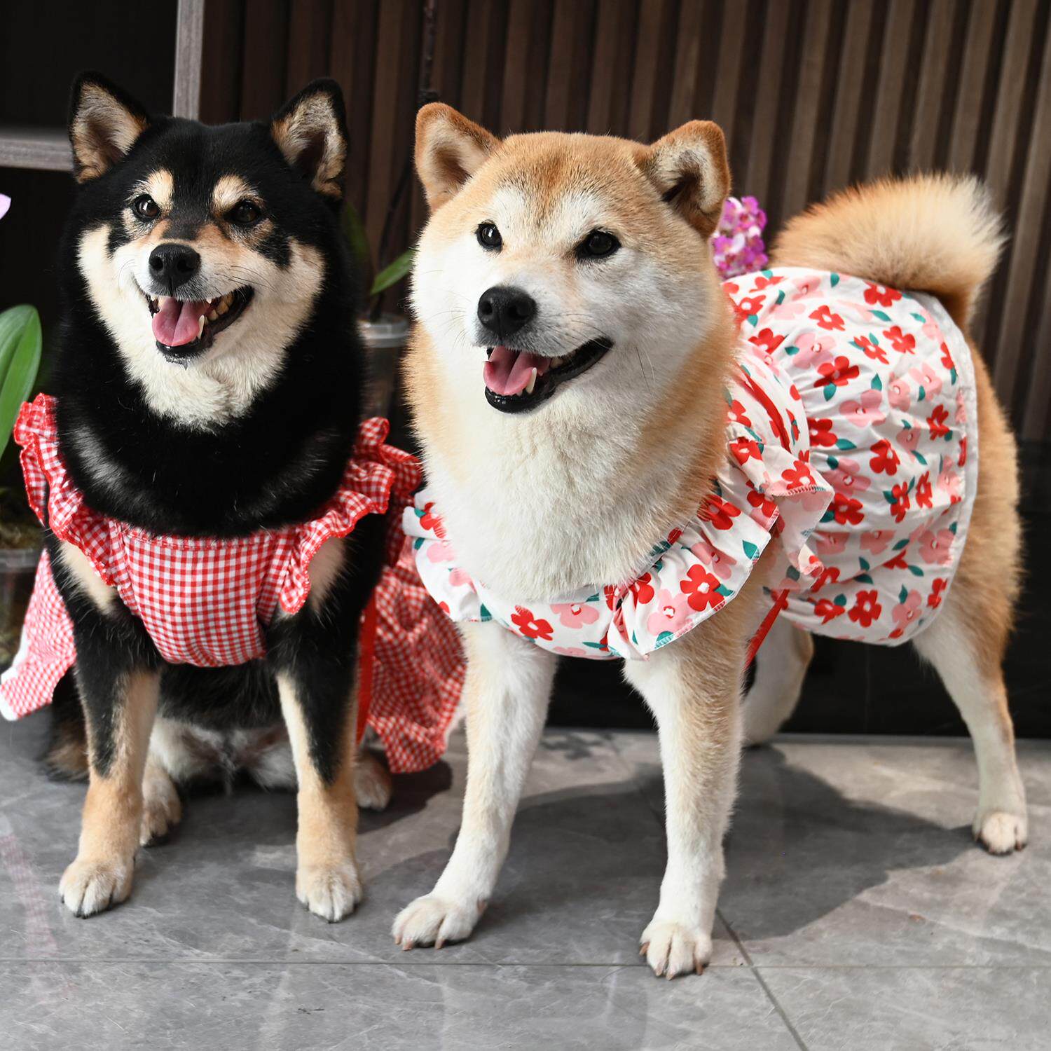 宠物狗狗猫咪柯基泰迪柴犬衣服格子碎花夏季四季背带裙子清凉背心