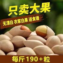 Hand-selected farm-grown big fruit Taizhou specialty 2023 Taixing Big Buddha finger ginkgo ginkgo fresh raw ginkgo