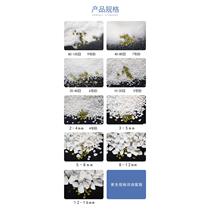 100 pounds of quartz sand white dry fish tank bottom sand wine trash can PEU ashtray mountain shop water landscaping childrens beach