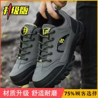 Серый зеленый 【обновление версии】