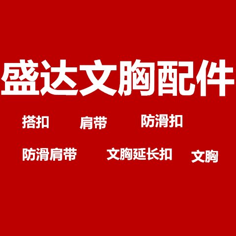 盛达文胸配件