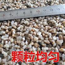 Special fried peanut and melon seed sand for stir-fried chestnuts Special fried peanut and melon seed sand for stir-fried chestnuts Special for round peanut sand and chestnut sand