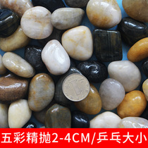 Cobblestone paving courtyard garden landscaping large and small stones multicolored stone courtyard decoration rain flower stone