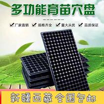 Xinjiang Tibet seedling tray hole tray pepper seedling tray succulent leaf cutting box corn seedling tray white