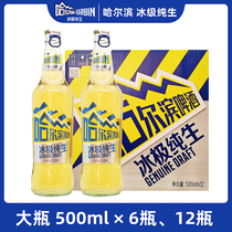 Harbin Ice Pole pure raw beer Harbin pure raw beer Harbin beer big bottle 500ml 