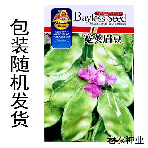 农家自种肉豆角，鲜嫩多汁，顺丰包邮，尝鲜不等待！🌿