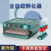 Incubator small household incubator fully automatic intelligent egg incubator rutin chicken mini bird egg incubator