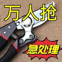 Original Japanese sk5 imported large scissors large powerful pruning shears expensive branch shears flower and tree gardening shears