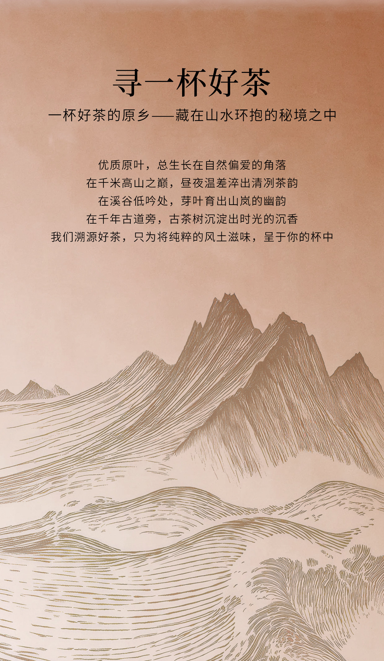 【中国直邮】 霸王茶姬 原叶袋泡茶包组合装 醒时春山+伯牙绝弦+花田乌龙 冷泡茶组合装*3盒