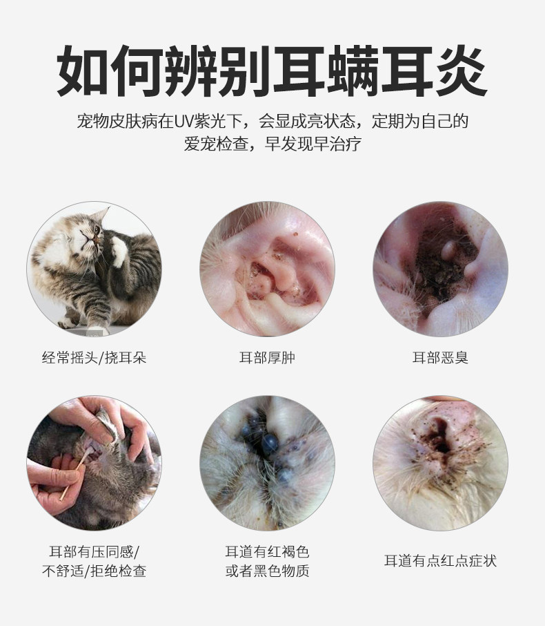 Cross-Border Popular Product: Wood's Lamp for Detecting Cat Ringworm, Urine Fungus, and Fluorescent Agents; Mini Flashlight with Ultraviolet Light for Banknote Verification