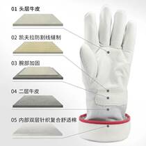 Pinzhide antifreeze gloves liquid nitrogen dry ice cold storage low temperature cold protection gloves low temperature resistant gloves 26cm