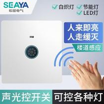 Xiya type 86 switch panel concealed induction sound and light control switch 220v corridor sound and light control delay white double