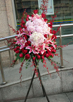 Beijing opening flower basket Flowers Tongcheng express Housewarming business celebration performance Shanghai Shenzhen Guangzhou hand delivery