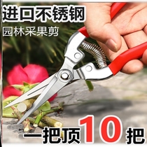 Imported stainless steel fruit picking scissors gardening scissors pruning shears grape pitaya scissors special scissors for picking pepper