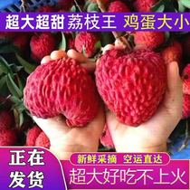 Extra large Big Mac egg-sized lychees Wang Hejiang lychees freshly picked in season SF Express