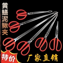 Bug catching gecko tool mouse centipede artifact stainless steel long handle snot caterpillar catching pliers