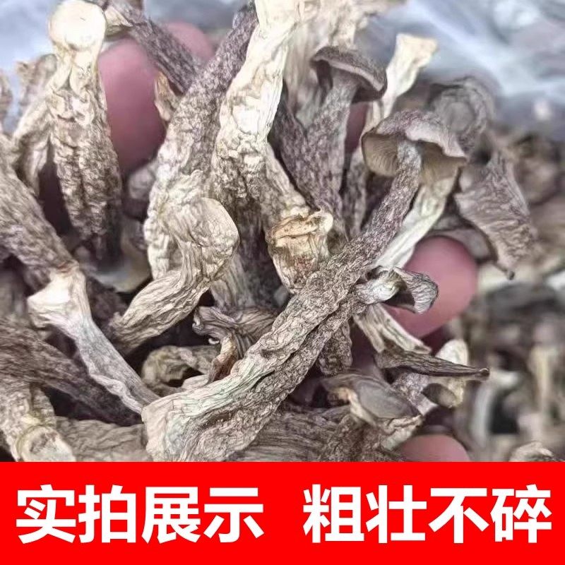 绝绝子！鹿茸菇的功效与吃法，拯救你的餐桌和健康！