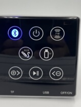 Pin 86 hotel fine decoration smart home Bluetooth amplifier home background music host controller customized