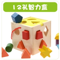 [12孔智力盒]
