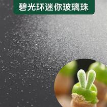 Ultra-light resin clay clay succulent plant bi halo transparent mini glass beads glass ball