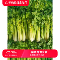 Yunnan fresh fruit celery celery that can be eaten raw freshly harvested in season fresh internet celebrity vegetables green vegetables