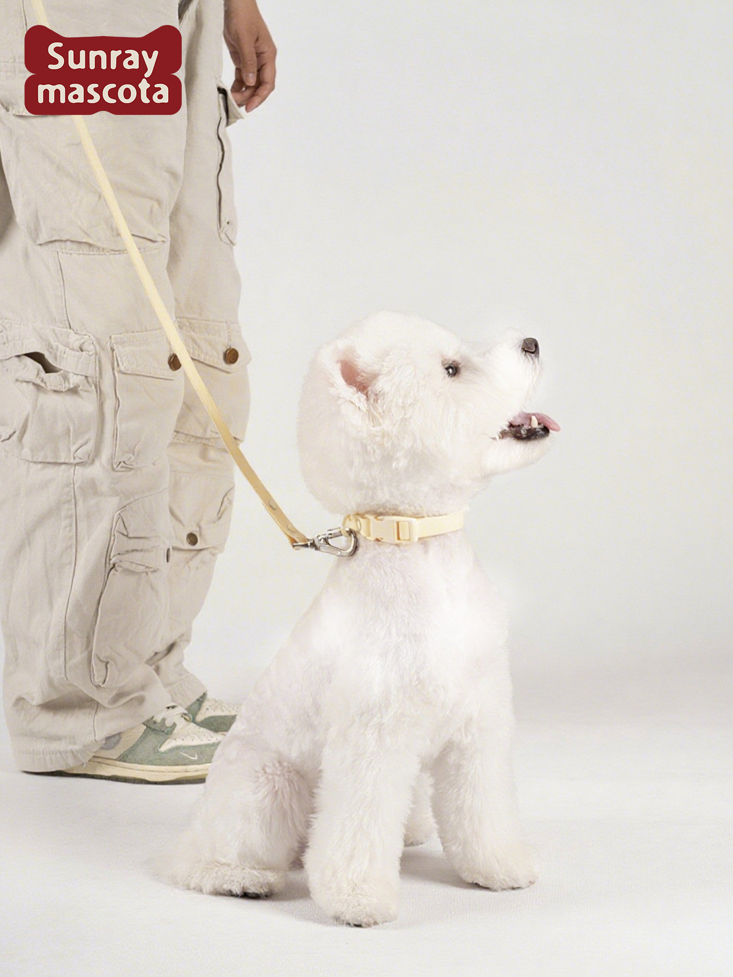 Sunraymascota Dog Collar Waterproof Neck Protection Pet Collar Medium-Sized Dog Collar Cat Collar Leash