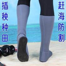 Shimota rice-planting socks water shoes tidal flats anti-cutting shoes long-tube non-slip beach socks anti-sand foot covers