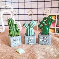 Internet celebrity Cute Simulation Cactus Bonsai Potted Plant Photo Card Me