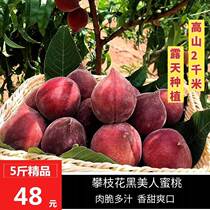 SF Express alpine open-air planting of Sichuan Panzhihua Black Beauty Peaches and Eagle Peaches 5 pounds of fresh fruit for pregnant women