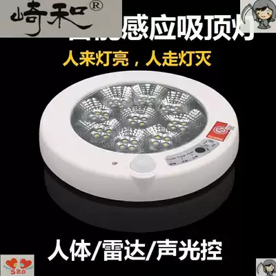 LED sound and light control Induction delay ceiling light corridor corridor intelligent voice control switch energy saving lamp 5W surface equipment household
