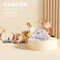 Cat toys self-pleasure and relieve boredom electric little mouse cat teasing stick and cat teasing supplies collection bite-resistant cat teasing ball
