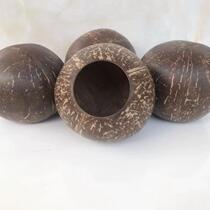 Natural coconut shell old and small opening smooth coconut shell kindergarten DIY succulent planting flower pot crafts