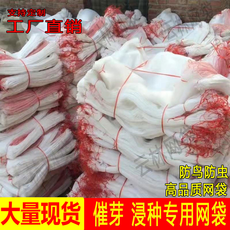 Rice Seed Soaking and Germination Mesh Bags, Nylon Mesh Bags for Drying Cured Meat, Sausages, Roast Duck, Ham, Insect-Proof Net Bags, Fruit Insect-Proof Bags