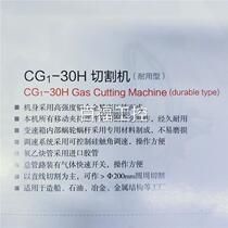 Warwick gas cutting machine CG1-30H cutting machine CG1-100H cutting machine track durable type click me