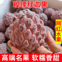 Rare rose red custard apple 5 pounds fresh fruit milk pineapple custard apple Buddha head Muni fruit