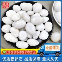 Shanxi white pebbles natural rain flower stone original stone courtyard garden paving landscaping decoration goose warm stone stone white