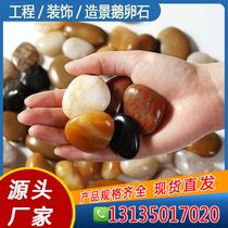 Tianjin Pebble Rainforest Stone Natural Rock Fish Bowl Flower Pebble Pearl Pearl Pearl Pearl Pearl Pearl Pearl Pearl Pearl Pearl Bowl Decorated Colorful Stone