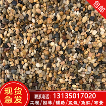 Yunnan pea stone natural floor heating backfill pebbles fish tank landscaping pebbles courtyard paving filter stone filter material