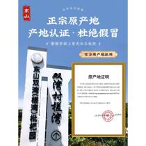 Suzhou East White Jade Loquat Fresh Sweet White Pear Tangqi Baisha Mountain Loquat Fresh Pi FLQ Pa Super 5 Jin Fruit Large Fruit Batch