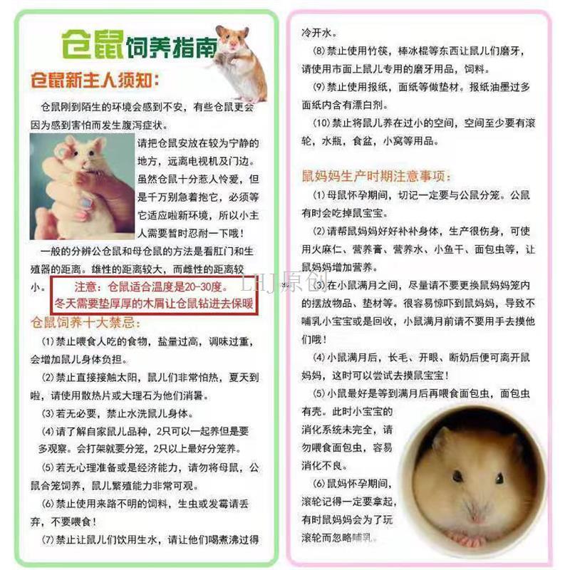 2024年新手养金丝熊必看！一公一母双胞胎仓鼠包活到家，疫苗齐全避坑指南-仓鼠-淘宝好物网