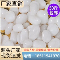 Guangxi Baishizi courtyard paving cobblestone landscape white stone garden landscaping cobblestone natural small