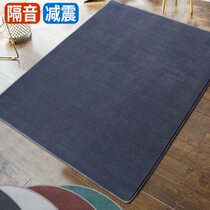 Plush drum carpet floor mat soundproofing small carpet bedroom full room coffee table floor mat living room balcony home