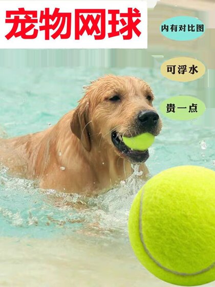 狗狗玩具球金毛泰迪耐咬弹力球拉布拉多小狗磨牙训练宠物玩具网球
