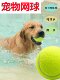 狗狗玩具球金毛泰迪耐咬弹力球拉布拉多小狗磨牙训练宠物玩具网球